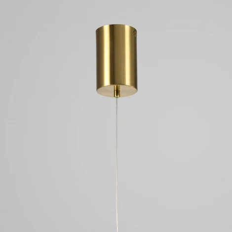 Подвесной светильник светодиодный Zortes Nepo ZRS.1888.11 (220V, на тросе, IP21)