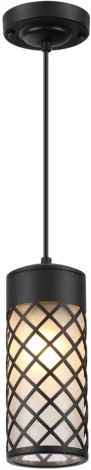Уличный светильник подвесной Odeon Light Dunes 4834/1 (220V, на цепи, круглые, IP44)