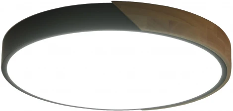 Потолочный светильник круглый Zortes Alberro ZRS.01280.72 (LED, 220V, круглые)