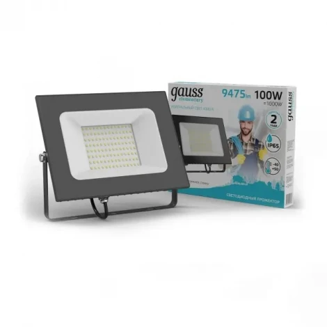 Прожектор уличный Gauss Elementary 613100110 (LED, 220V, IP65)