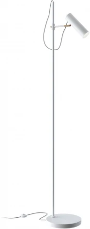 Торшер Maytoni Bansky MOD129FL-01W (220V, выключатель)