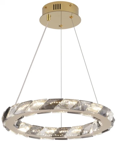 Подвесной светильник Lussole Citrus LSP-7156 (LED, 220V, на тросе, кольцо)