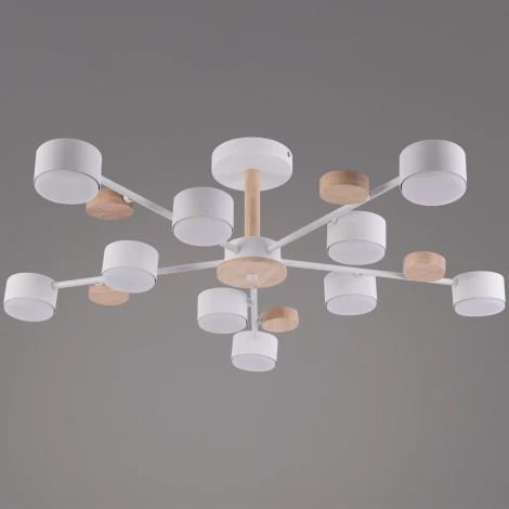 Потолочная люстра на штанге Reluce 03758-0.3-10 WT+WOOD GX53