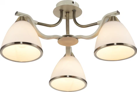 Потолочная люстра Toplight Sheena TL3670X-03AB