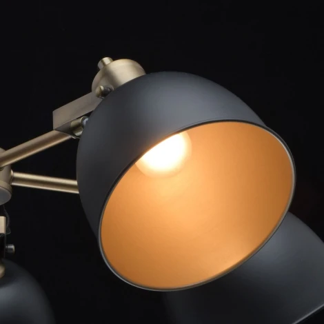 Потолочная люстра MW-Light Вальтер 551011105