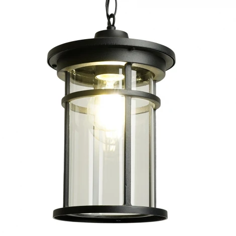 Уличный светильник подвесной Feron Турин 51819