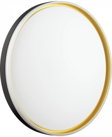 Настенно-потолочный светильник Savi 7619/DL (регулировка яркости, LED, 220V, пульт управления, круглые, IP43)