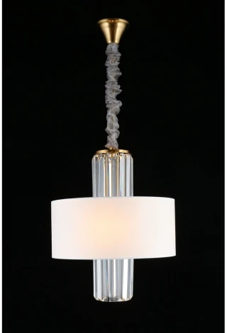 Подвесная люстра Aployt Karola APL.841.13.04 (220V, на цепи, круглые)