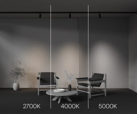 Трековый светильник трехфазный 12W 220V Maytoni Focus Led TR197-3-12WCCT-M-B (круглые)