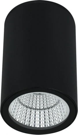 Уличные потолочные светильники Arte Lamp Torcular A1807PF-1BK (LED, 220V, круглые, IP65)