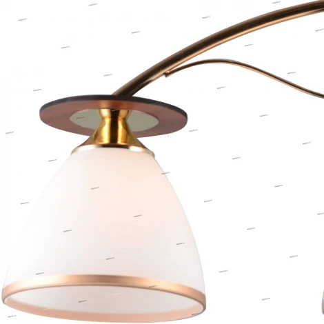 Потолочная люстра J-Light Eva 1504/3C