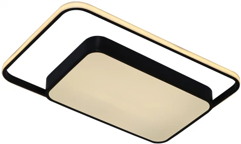 Потолочный светильник Moderli Silectra V1011-CL