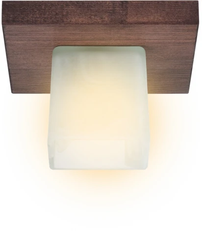 Потолочный светильник прямоугольный Мелодия Света SS1N 000036808