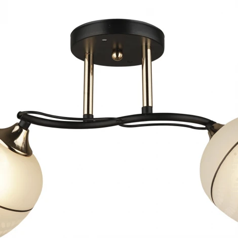 Потолочная люстра Wedo Light Modi 66638.01.69.02