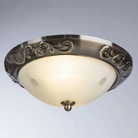 Потолочный светильник Arte Lamp Alta A3014PL-2AB