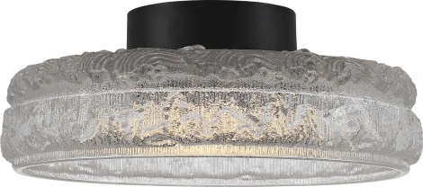 Настенный светильник ST Luce Antike SL6143.402.01 черный/прозрачный LED 1*15W 4000K (220V, круглые)