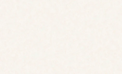 Обои виниловые Erismann Olivia 4509-3 10,05 x 1,06 м