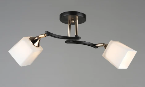 Потолочная люстра на штанге Мелодия Света 000060401