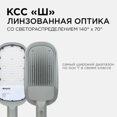 Уличный консольный светильник светодиодный 80Вт 8800лм 5000К IP65 КСС "Ш" серый Apeyron 29-03