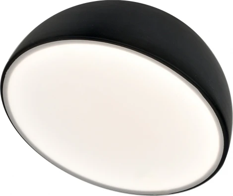 Потолочный светодиодный светильник Escada 20025LED 20025SMA/01LED BK15Вт, 720Лм, 3000-6000К, Ra>80, металл/акрил, черный