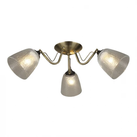 Потолочная люстра Wedo Light Rena 66609.01.37.03