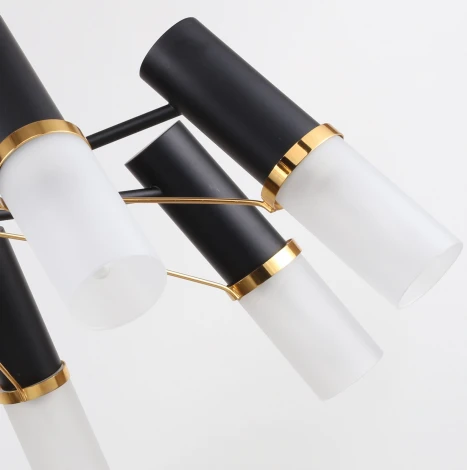 Потолочная люстра F-Promo Viator 2558-8P (220V)