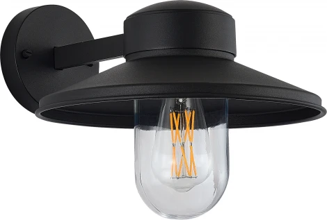 Настенный уличный светильник ST Luce Basko SL9542.701.01 темно-серый/прозрачный E27 1*60W