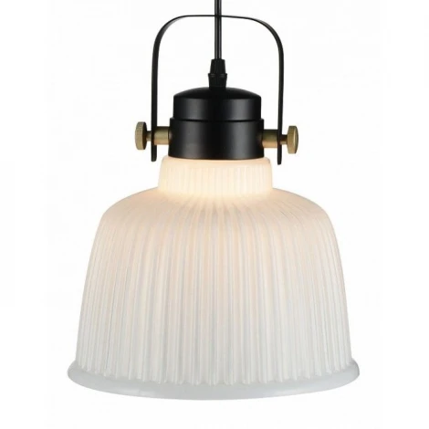 Подвесная люстра ST Luce Aletante SL714.443.05