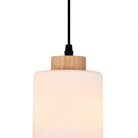 Подвесной светильник Escada Spirit ES0000015 160002/A/1P E27*60W Black