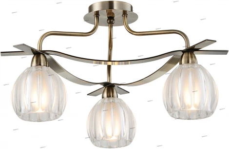 Snowlight 2300010 2300010/3C