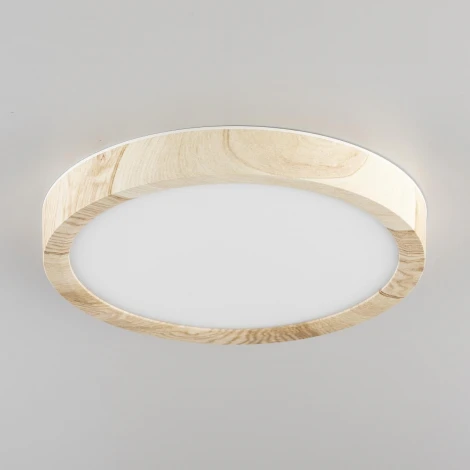 Настенно-потолочный светильник Citilux Бейсик CL738122N (регулировка яркости, LED, 220V, круглые, IP40)