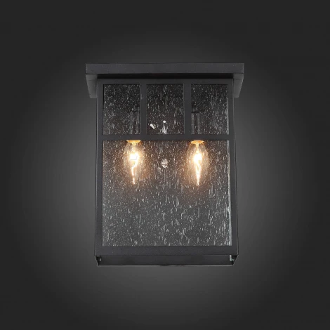 Настенный светильник уличный ST Luce Glazgo SL079.401.02