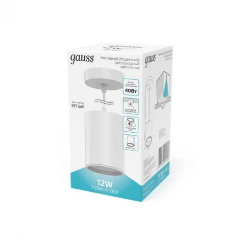 Подвесной светильник Gauss Overhead HD044