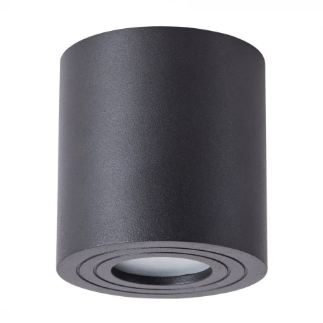 Потолочный светильник уличный Arte Lamp Galopin A1460PL-1BK (220V, круглые, IP44)