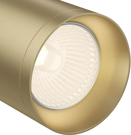 Потолочный светильник Focus GU10 1x50Вт Maytoni Technical C017CW-01MG (220V, круглые)