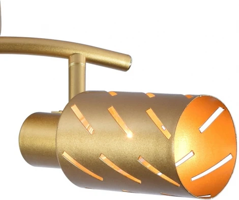 Спот на штанге Reluce 05970-0.8-02 GOLD (220V)