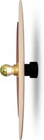 Настенный светильник Freya Carry FR5487WL-01G1 (220V)