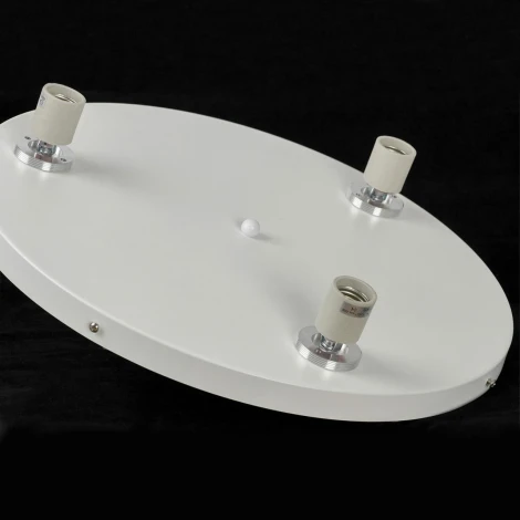 Потолочный светильник Lussole LGO Дове SY4098