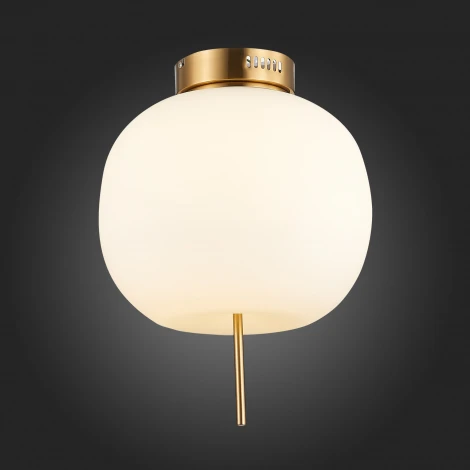 Потолочная люстра ST Luce Lacus SL1621.202.01