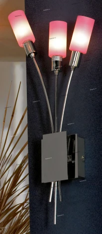 Бра Lussole Tolmezzo LSQ-8711-03