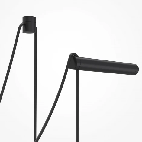 Подвесной светильник Maytoni Twins MOD427PL-L20B3K1