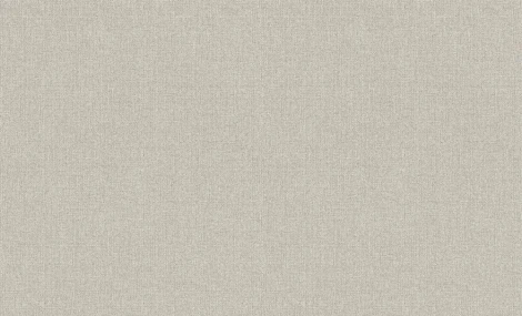 Обои виниловые Erismann Bolero 60062-04 10,05 x 1,06 м