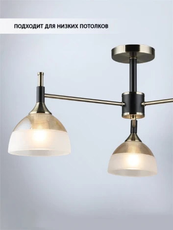 Потолочная люстра на штанге Wedo Light Olis WD3617/3C-AB-BK-WT