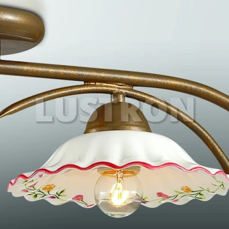 Потолочная люстра Odeon Light Camili 2647/2C