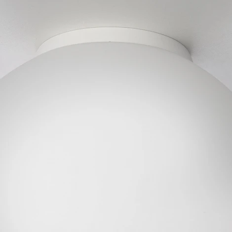 Настенно-потолочный светильник Citilux Ron CL941D20B0