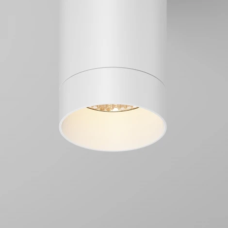 Потолочный светильник IP65 светодиодный Maytoni Luxe O500CL-L5W3K (220V, круглые)