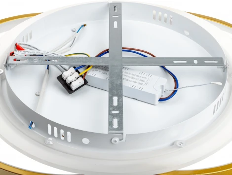 Потолочная люстра светодиодная с ДУ Ritter Snello 51624 2