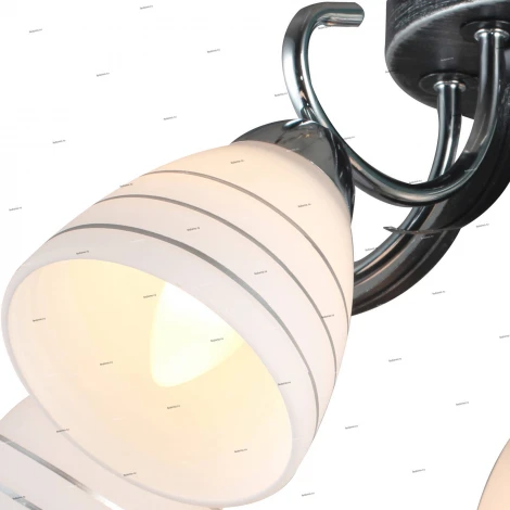 Потолочная люстра J-Light 1255 1255/5C