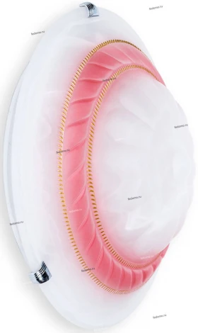 Настенно-потолочный светильник Toplight Clare TL9101Y-02PK
