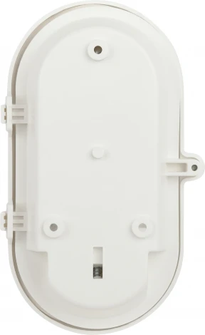 Настенно-потолочный светильник ЭРА НБП 01-60-002 (220V, IP53)